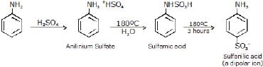 Physical & Chemical Properties of Amines | Chemistry Class 12 - NEET